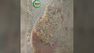 Safe Wood Sawdust Machine with Overload Protection and Emergency Stop